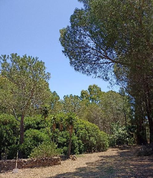 Chia - Casarosa Villa Domus De Maria Luaran gambar